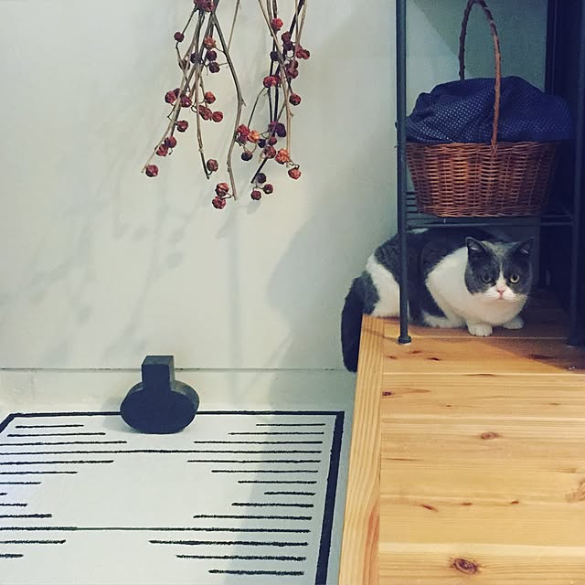 mohayaeteさんの実例写真