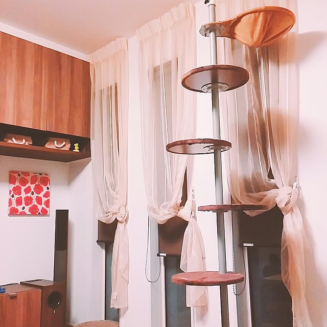 --Yu--Chi--さんの実例写真