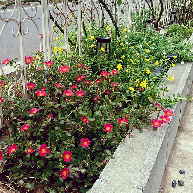 tomoさんの部屋