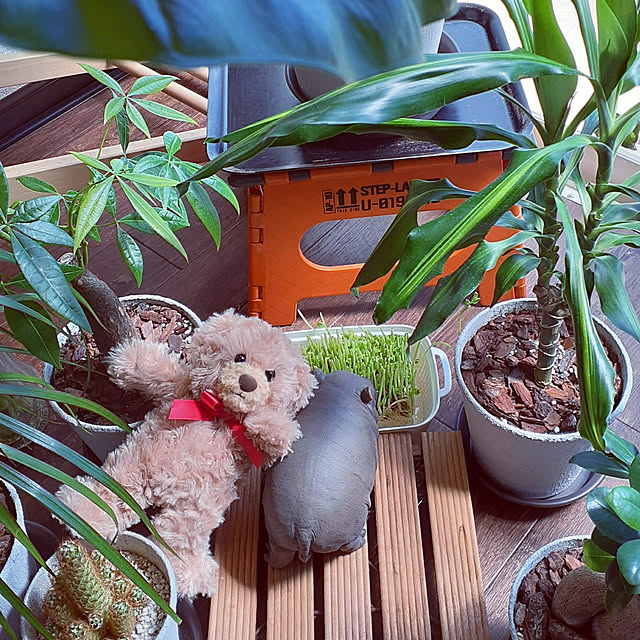 takayasuさんの実例写真