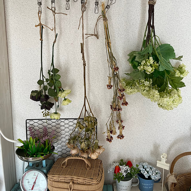Atsukoさんの部屋