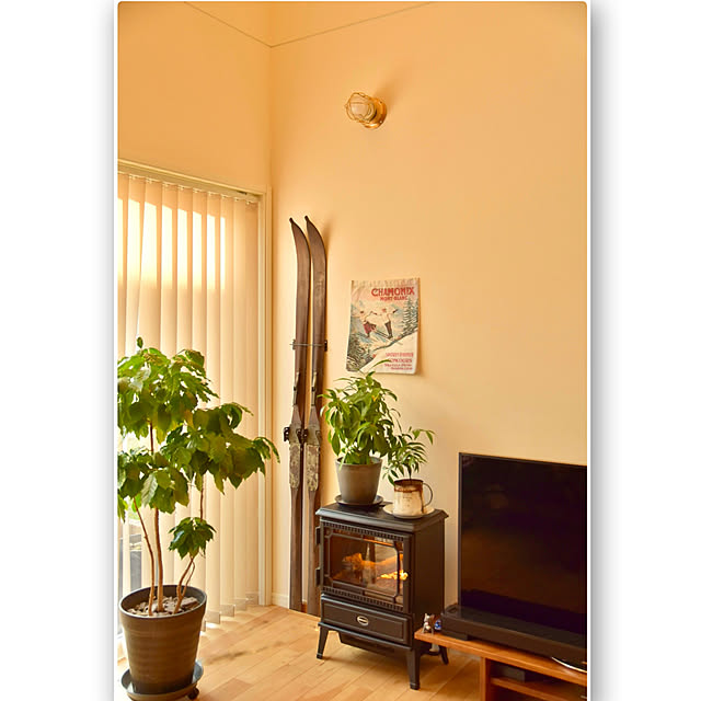 mikigumaさんの部屋