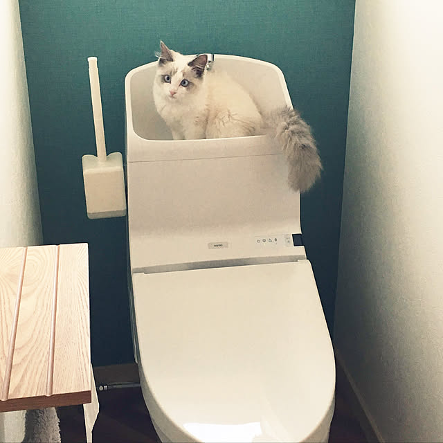 mmmegupoさんの実例写真