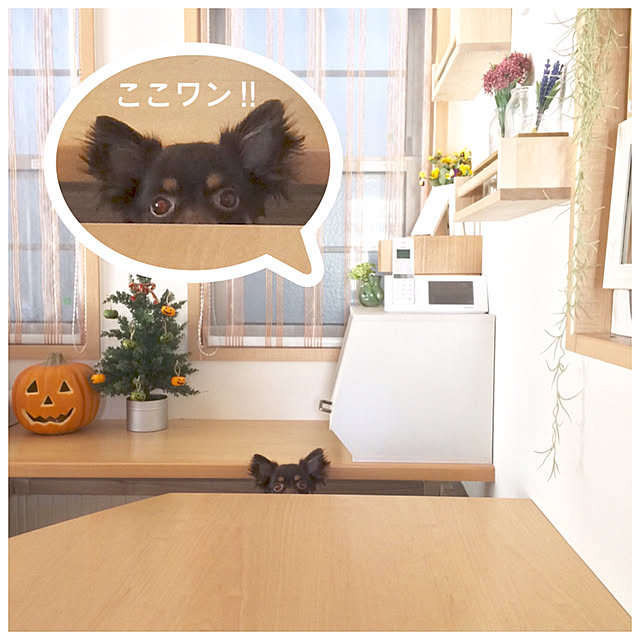 miyuさんの実例写真