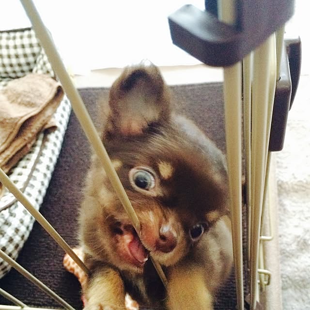 takaさんの実例写真