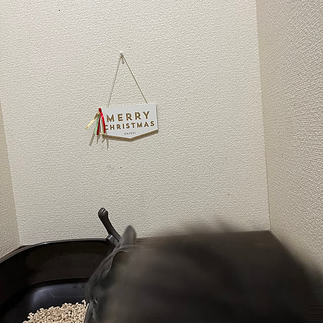 nekoさんの実例写真