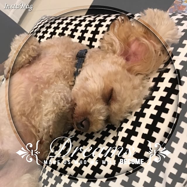 Kanokoさんの実例写真