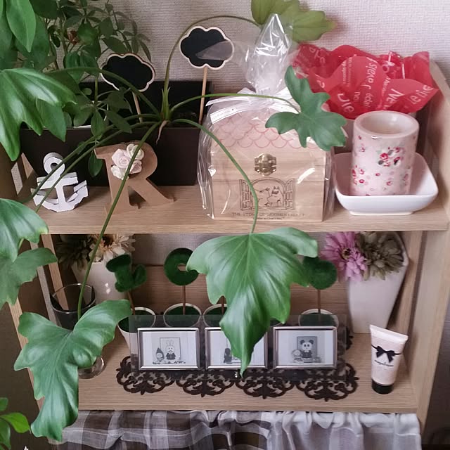 Rikaeさんの実例写真