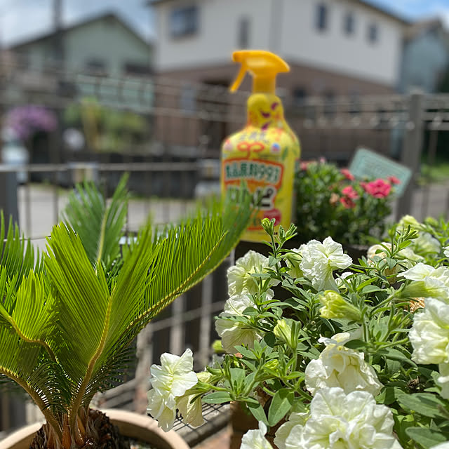 HelloKitchenさんの実例写真