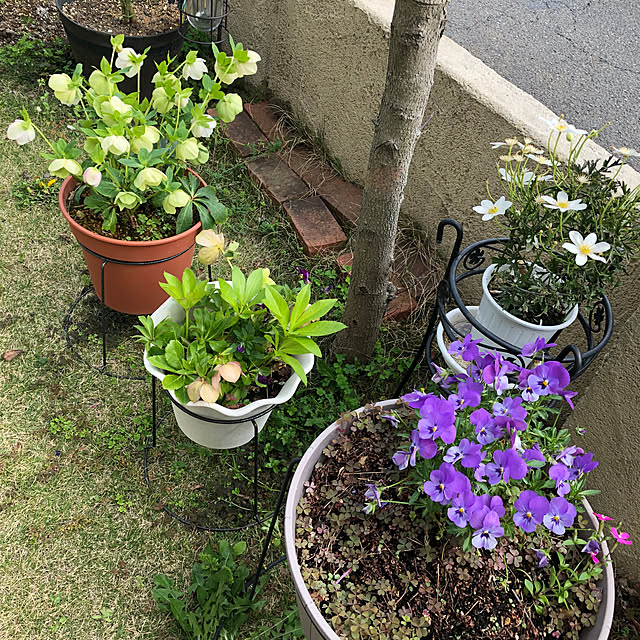 miukiさんの部屋