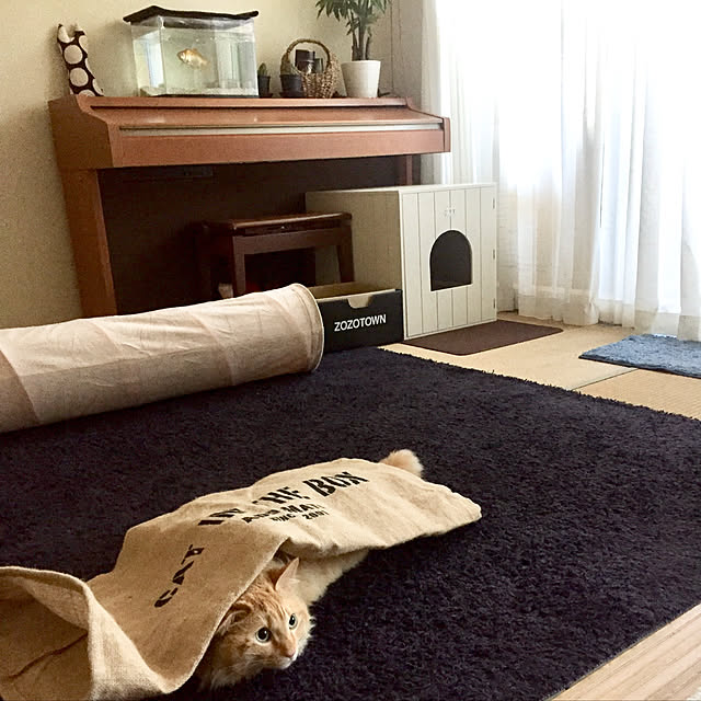 Ryokoさんの実例写真
