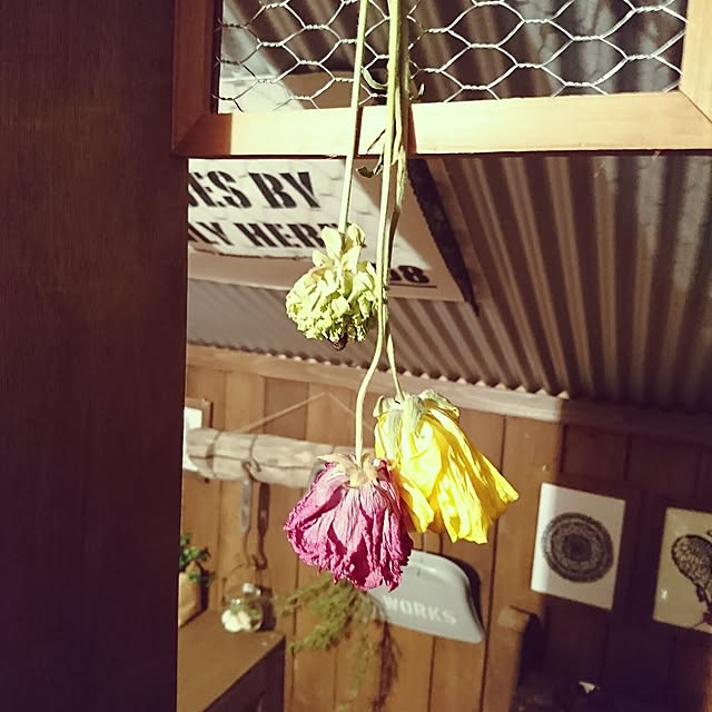 TOUEMONさんの実例写真