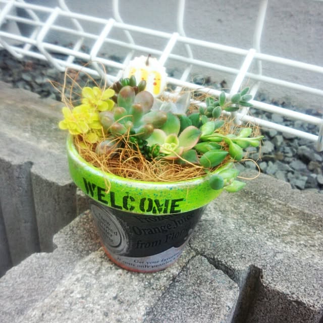 yoshiさんの実例写真