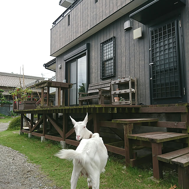 TOUEMONさんの実例写真