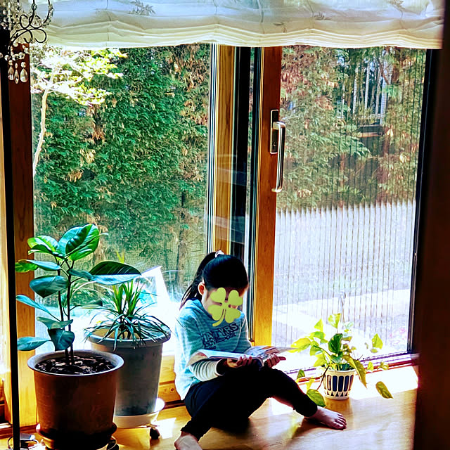 fuさんの実例写真
