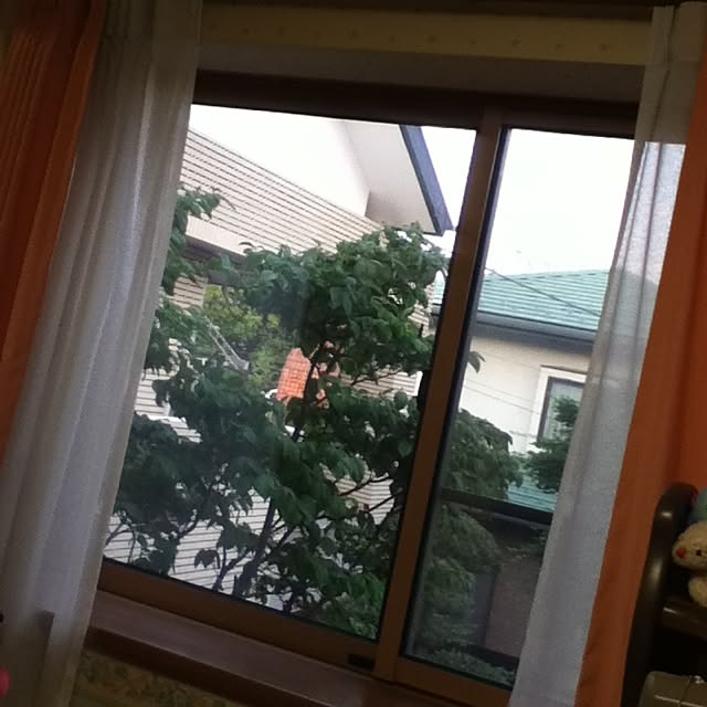 Amiさんの実例写真