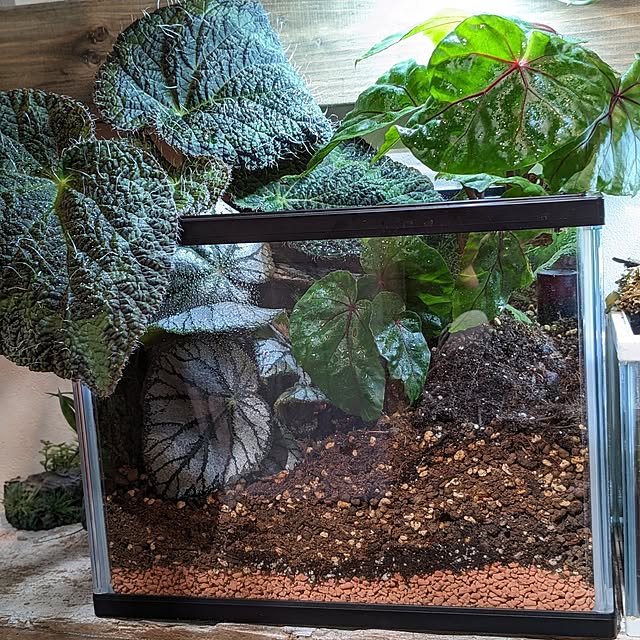 GINさんの部屋