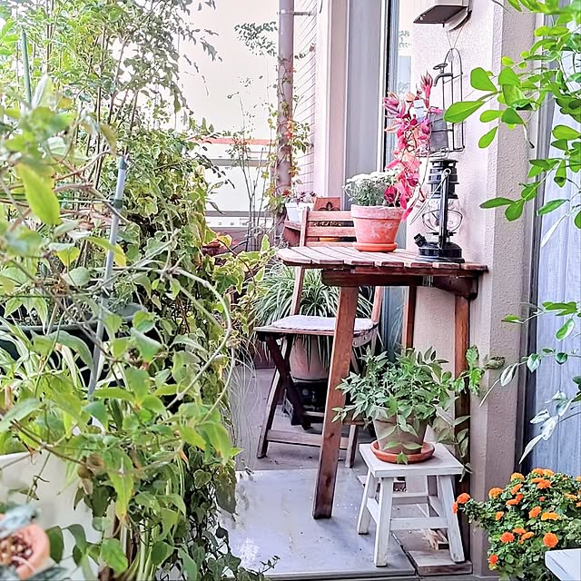 YuriYuriさんの部屋