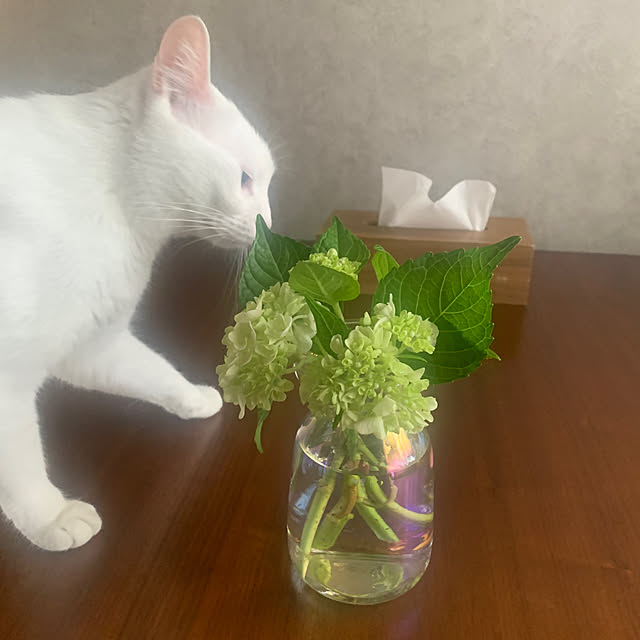 keiさんの実例写真