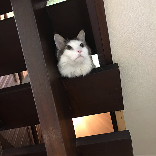 masakoさんの実例写真
