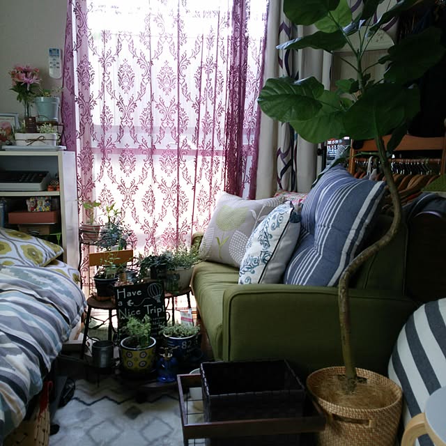 carollcarさんの実例写真