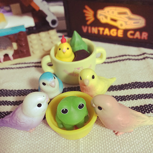 buchibuchi55さんの実例写真