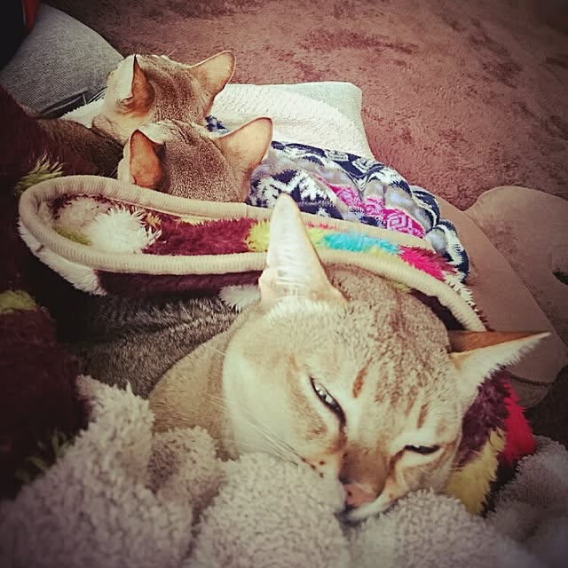Jcさんの実例写真