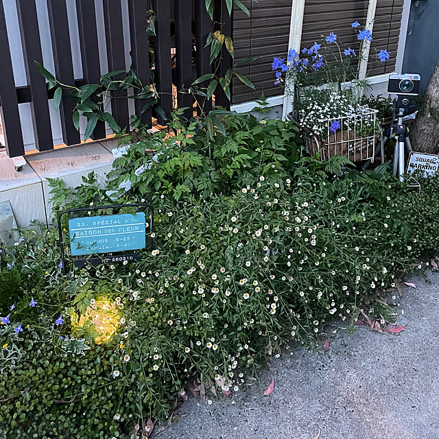 mayumiさんの部屋