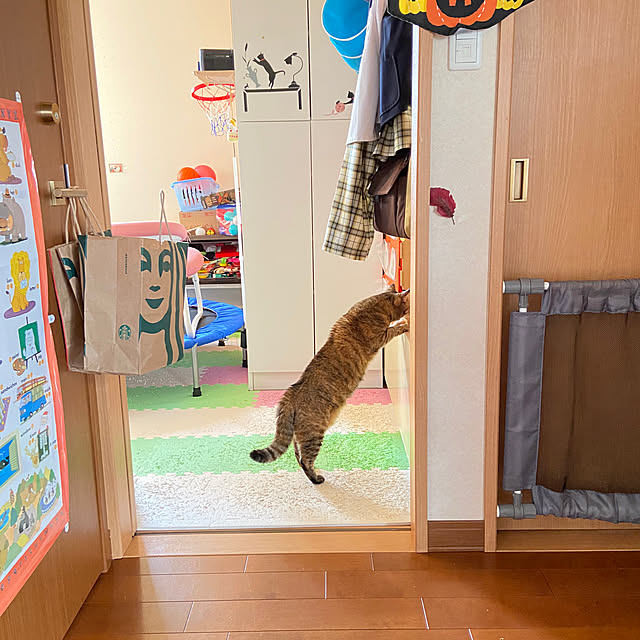 壁/天井/子ども部屋/ラブリコじゃない方/お疲れ気味/心配になる...などのインテリア実例 - 2023-11-10 15:05:22