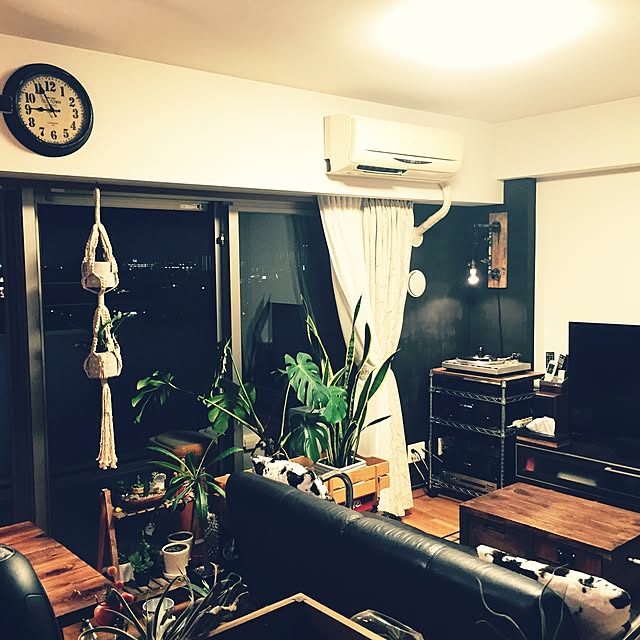 ichiさんの実例写真