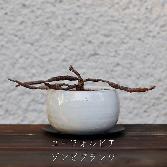 onsix777さんの部屋