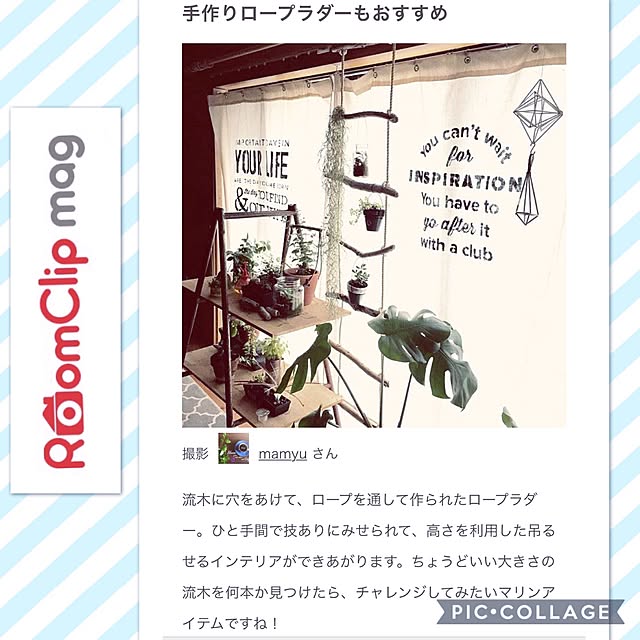 mamyuさんの実例写真