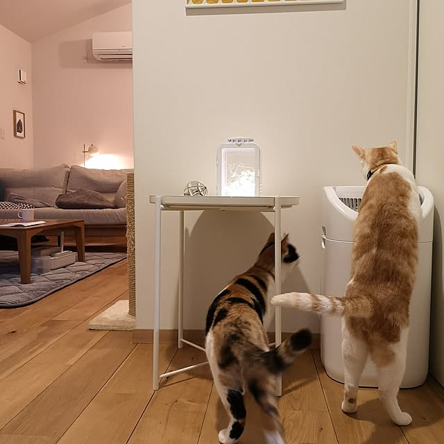 koyurizuさんの部屋