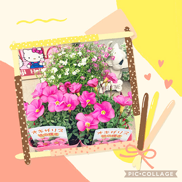 yuma0505さんの実例写真