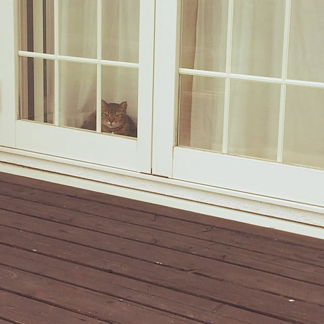 fukuさんの実例写真