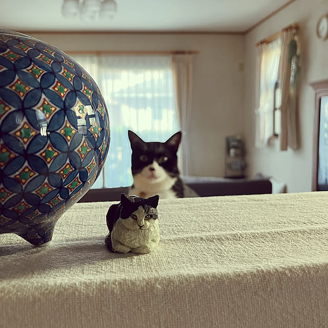 makiさんの実例写真