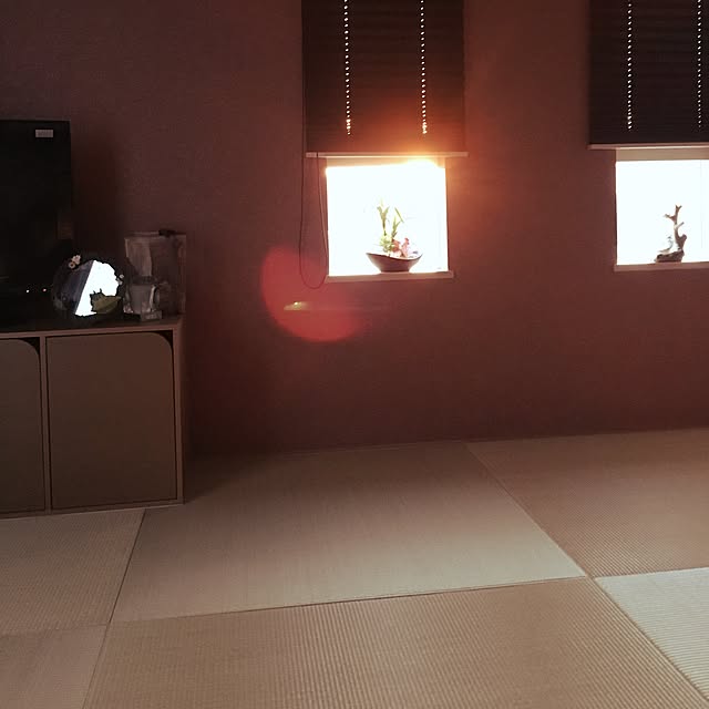 ms1016さんの実例写真