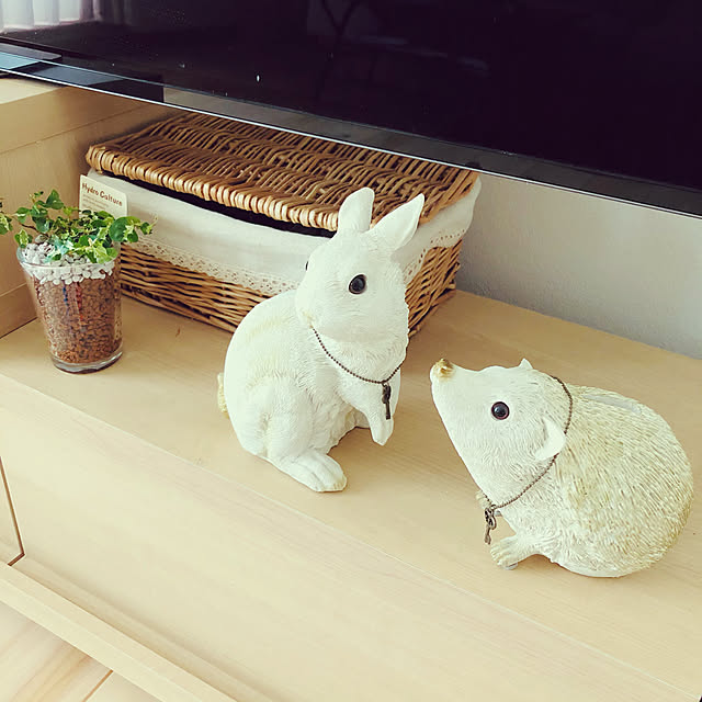 棚/観葉植物/ナチュラル/北欧のインテリア実例 - 2021-02-12 09:55:14