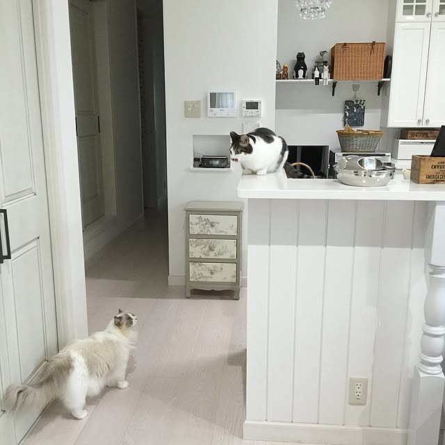 yuchiさんの実例写真