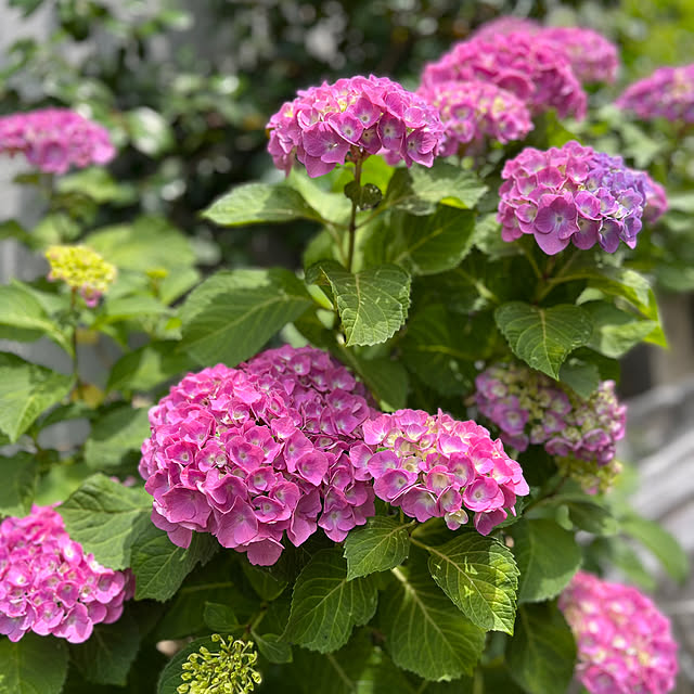 full.of_fun.mayuponさんの実例写真