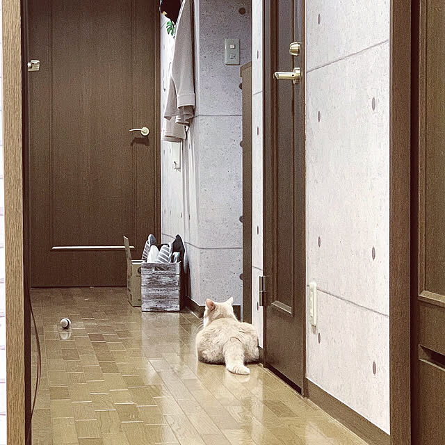 Tomoeさんの実例写真