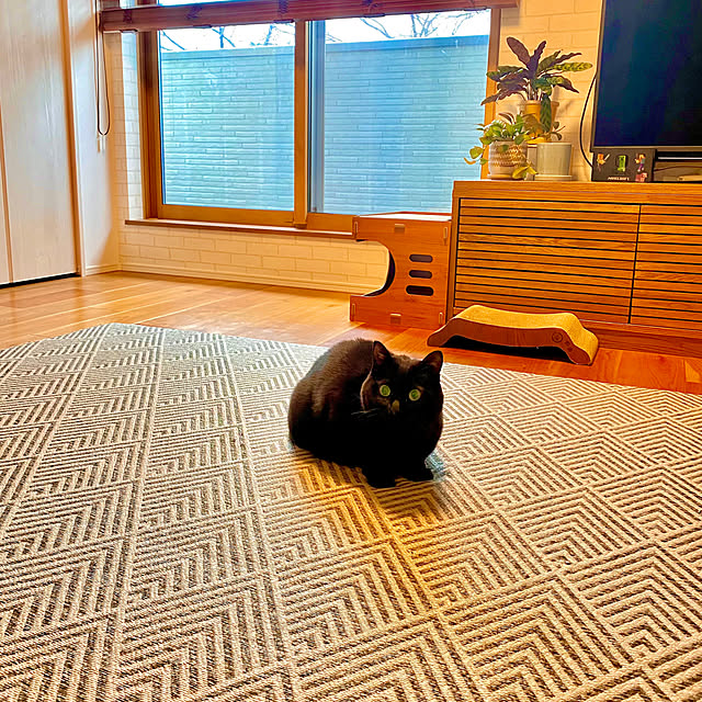 iiiyocoiiiさんの部屋