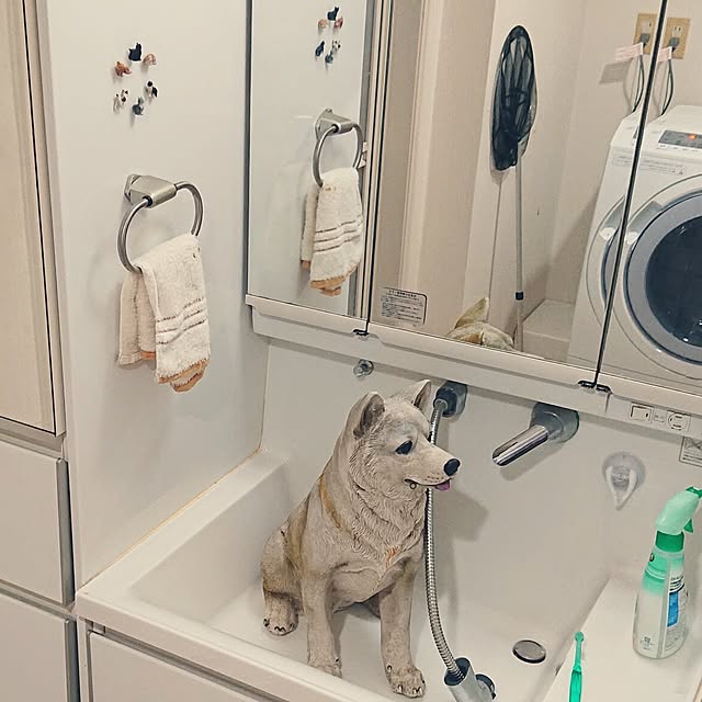 NOAHさんの実例写真