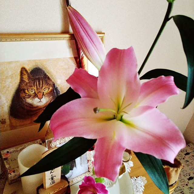 lilyさんの実例写真