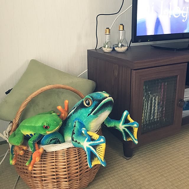 実例写真