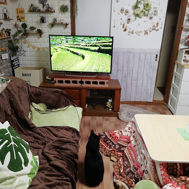Tomopさんの実例写真
