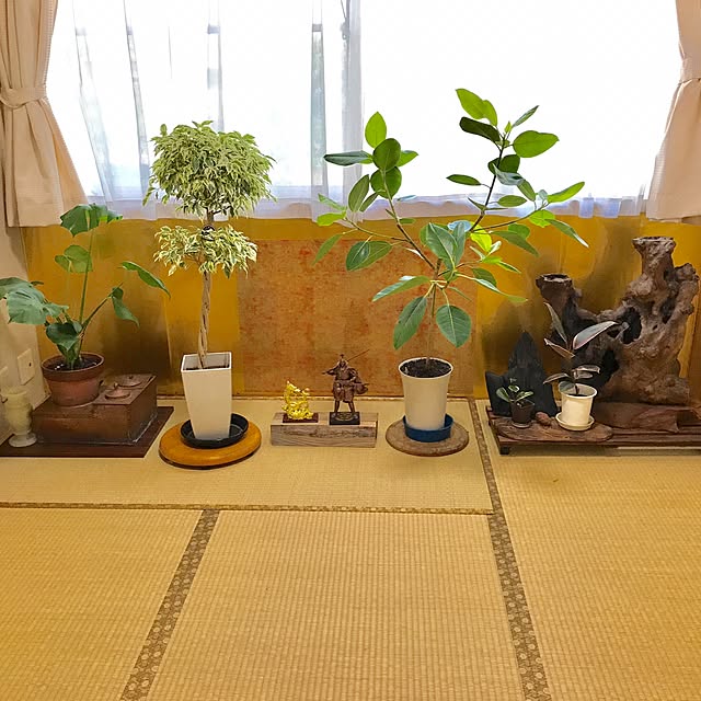 tornadeさんの実例写真