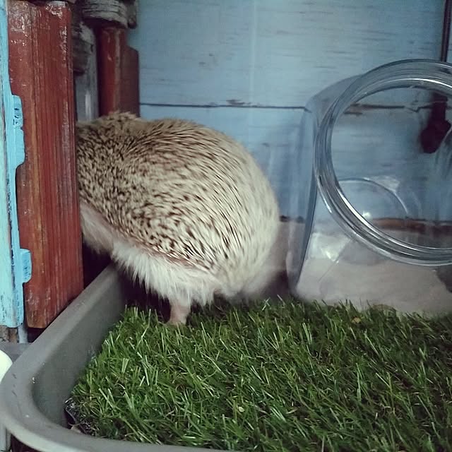 kuruさんの実例写真
