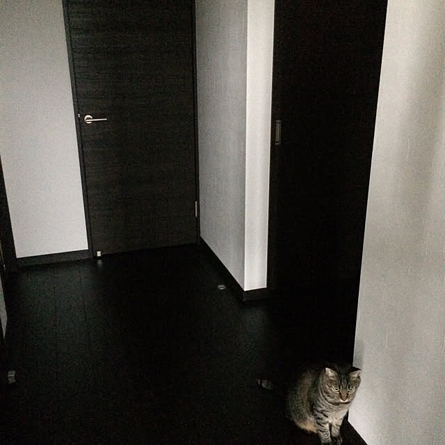 kuriさんの実例写真