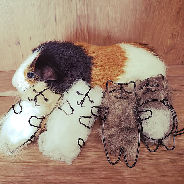 J.BOYさんの実例写真